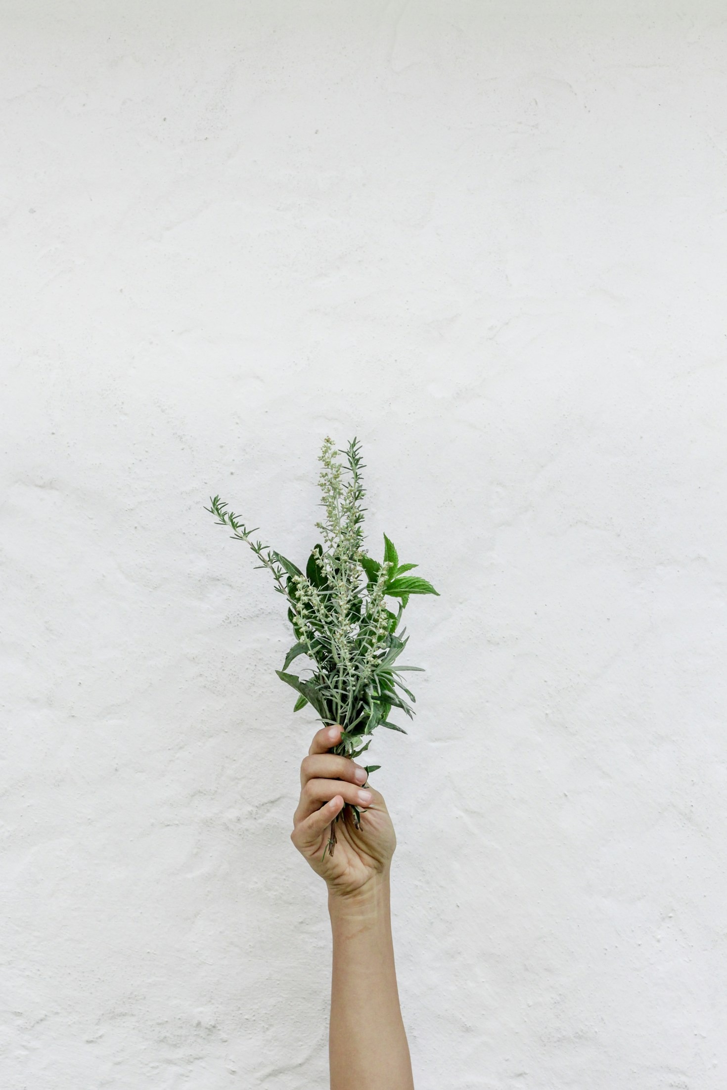 Jak začít s zero waste životním stylem